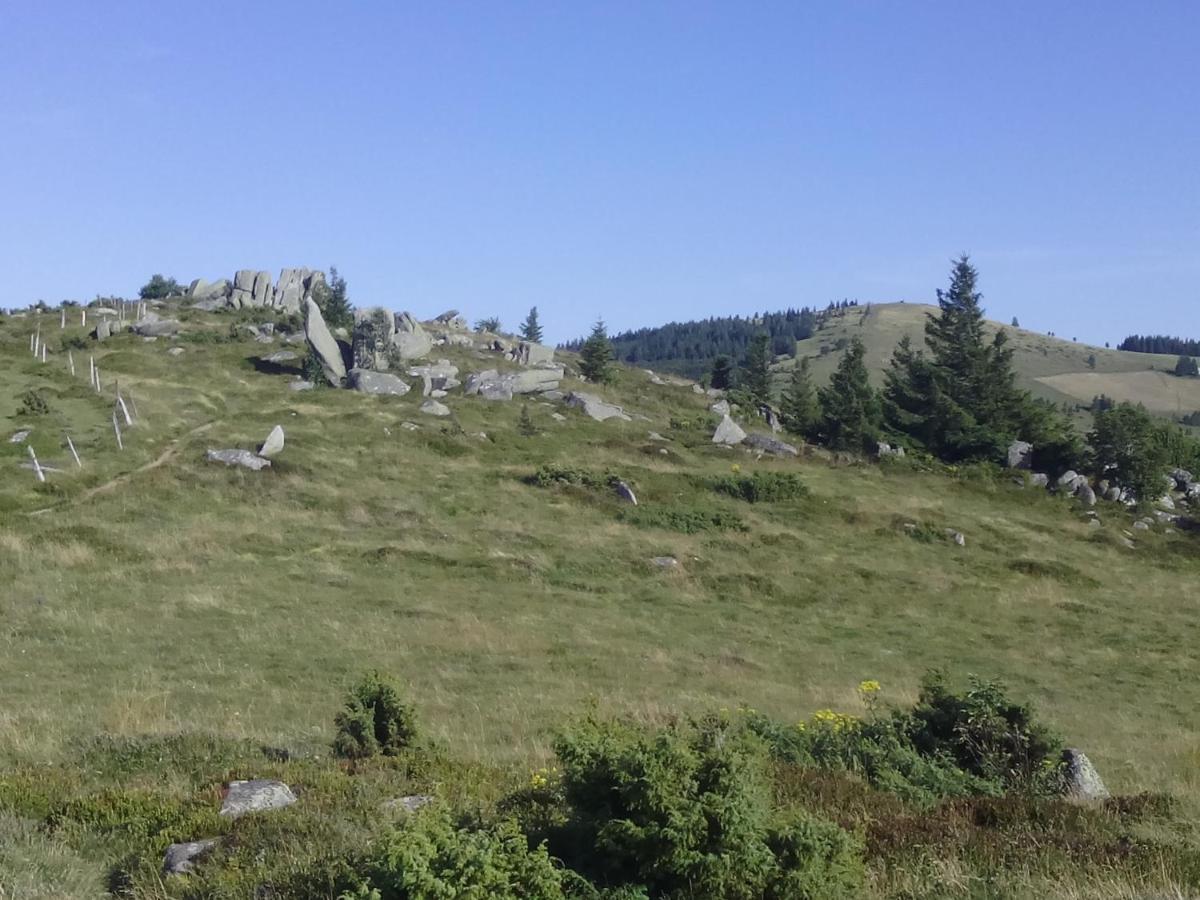 Le Gite Du Leymel Luttenbach-pres-Munster Luaran gambar